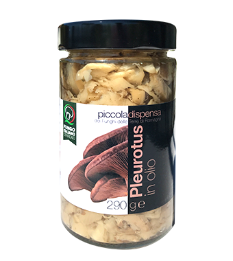 Pleurotus in olio